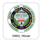 Hau, Hisar Logo