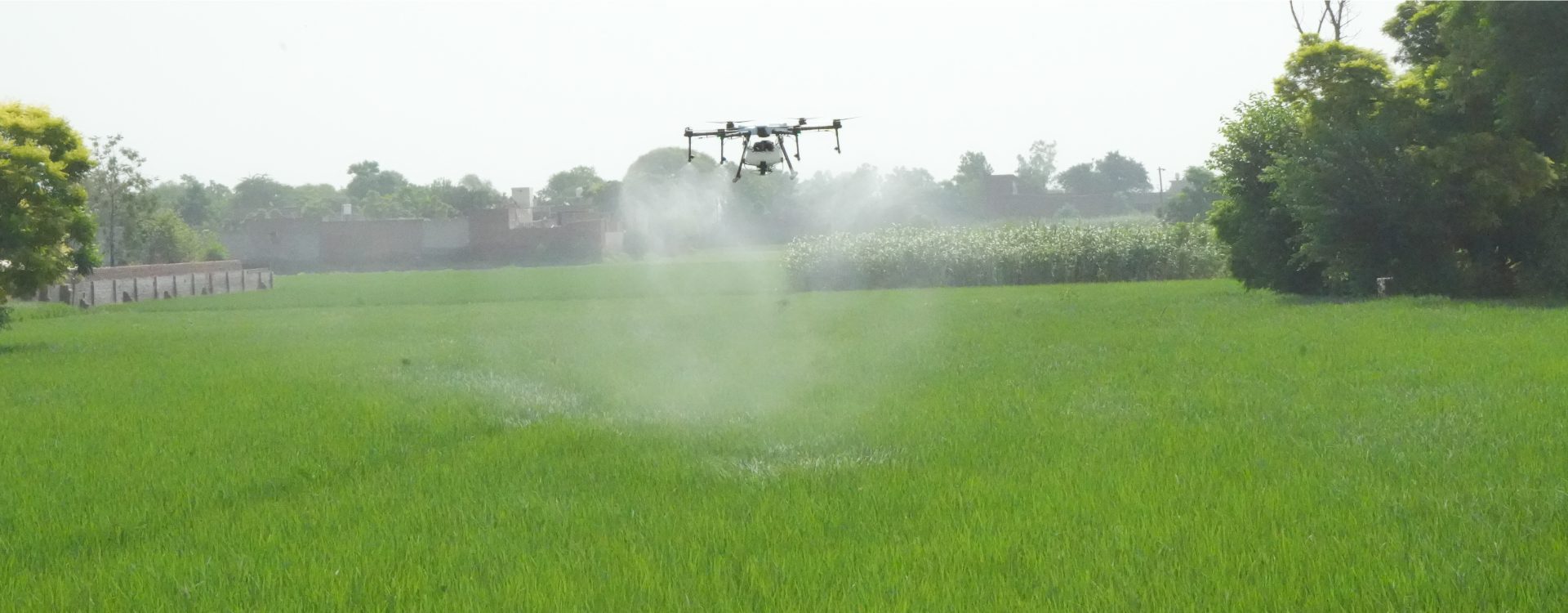 Best Agriculture Drone for Spraying Fertilizer and Pesticides in India
