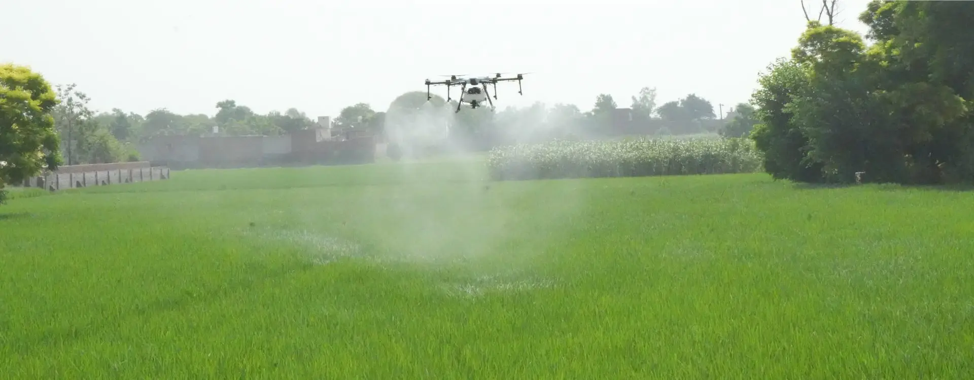 Benefits of Precision Agriculture Drones